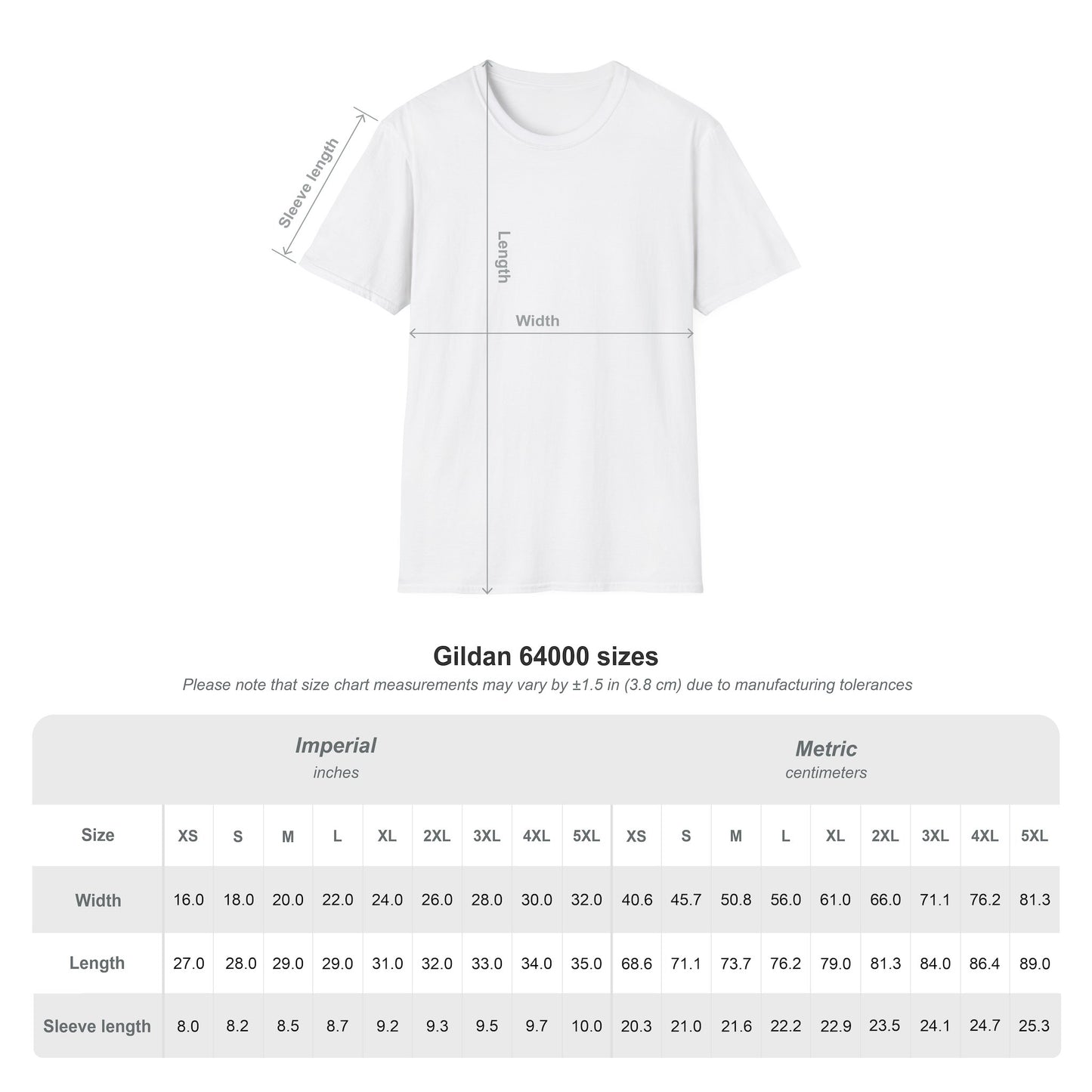 Winter Vibes - Softstyle T-Shirt